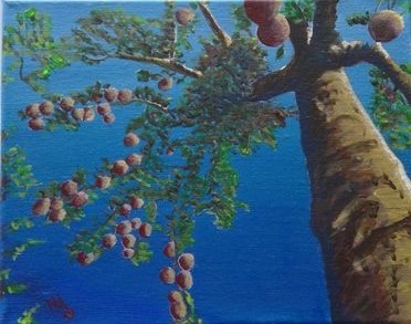 Karen Uhlman-Tree of Kn Karen Uhlman-Tree of Kn