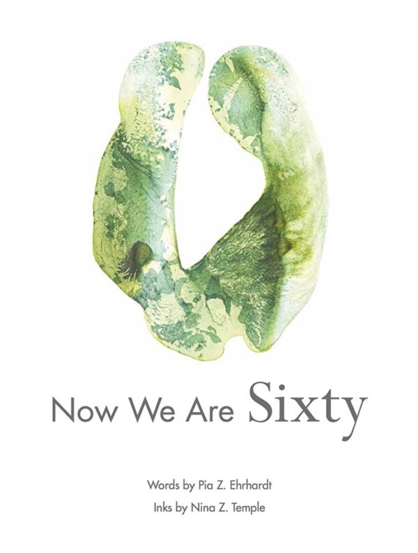 Nina Temple-Now We Are Sixty Book