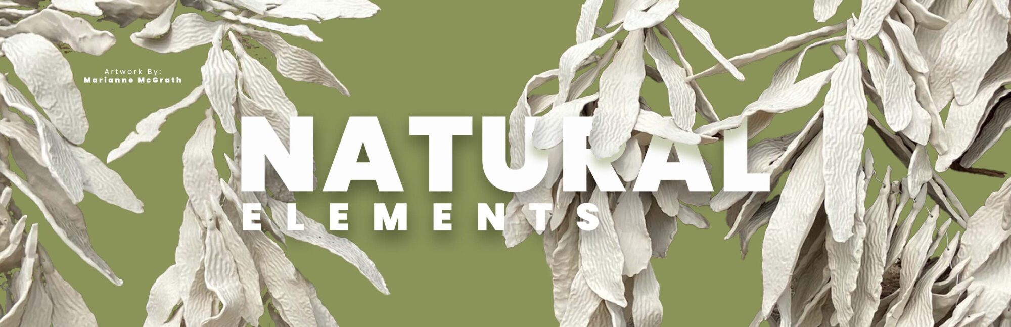 Facebook Banner copy Facebook Banner copy