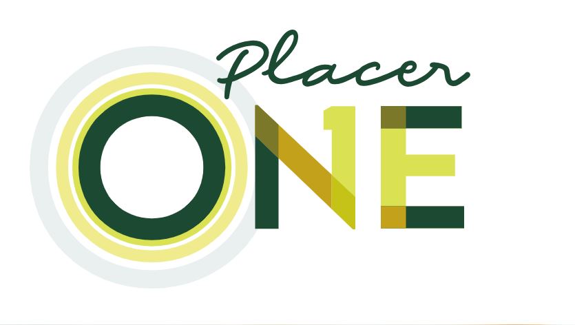 Placer One logo