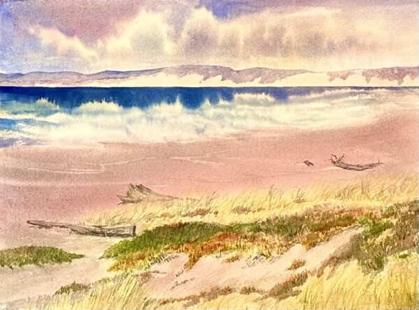 Windy Day at Abbotts Lagoon Beach, Point Reyes NS - Allison Spreadborough