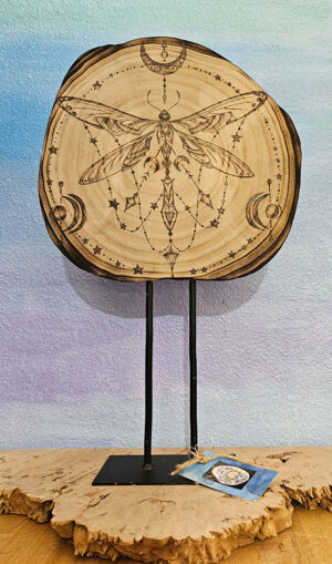 Celestial Reveries  - Carrie Anne Fender