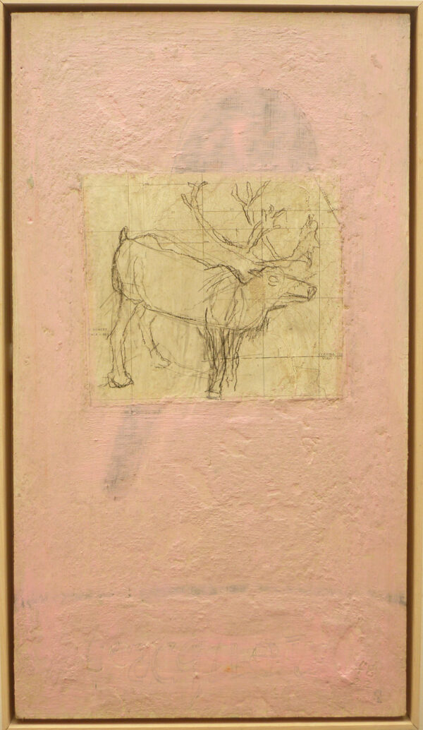 Moose on Pink - Florence Gray-Ybarra