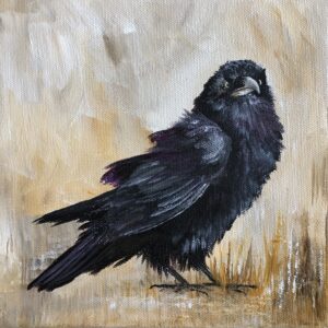 Common Raven - Cat Raymond