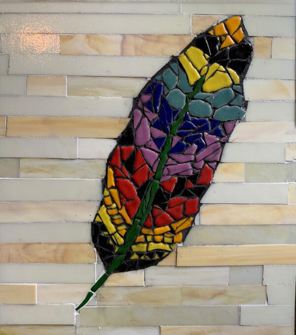 Rainbow feather  - Celeste Budd