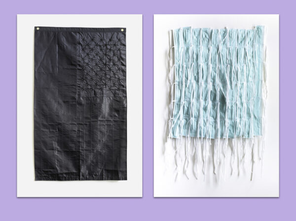 2_FLAGS - ian fabre