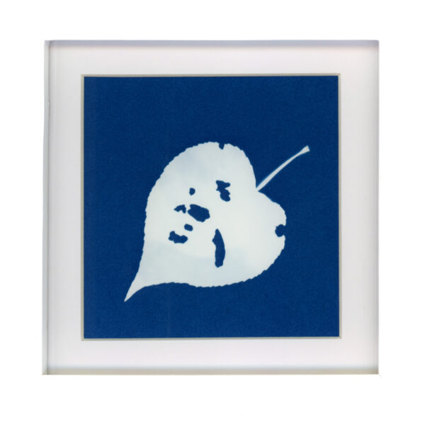 Found#4 - Barbara McCabe
