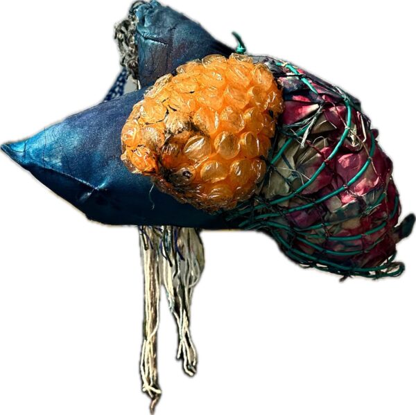 Barnacle 2 - Amy Vidra