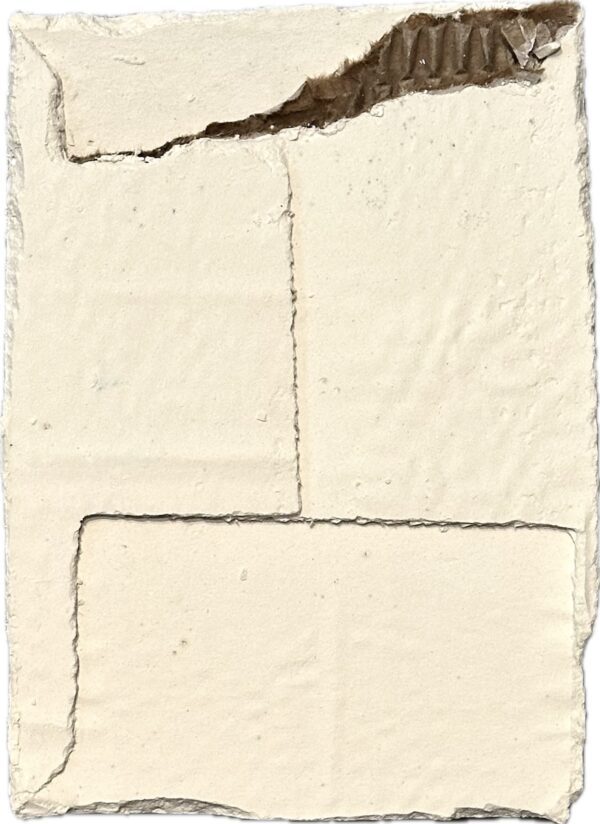 Land Relief - Amy Vidra
