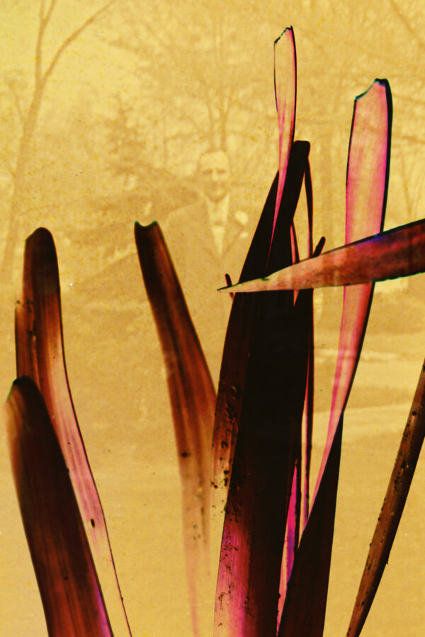 Lost Momentos 2 - Matt Crick