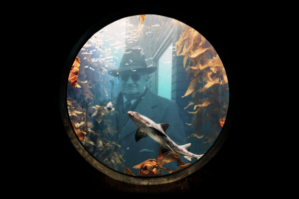 Lost Momentos 22 - Matt Crick