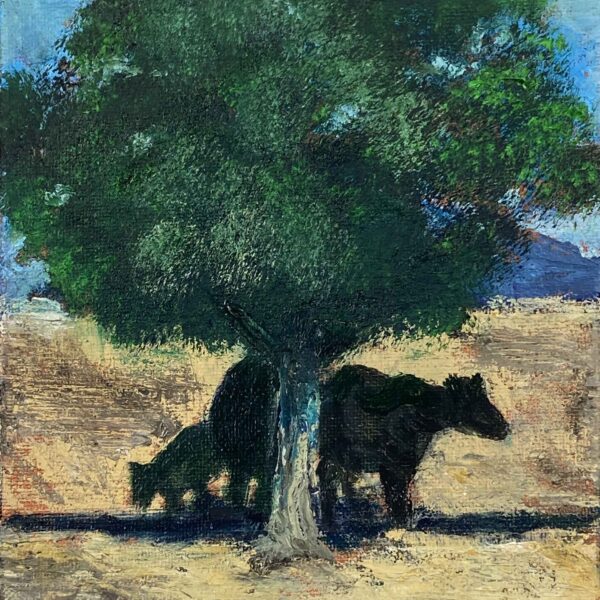 Cattle in Shade - Patrick Cosgrove