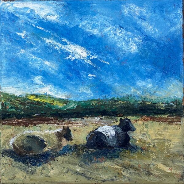 Cows at Rest - Patrick Cosgrove