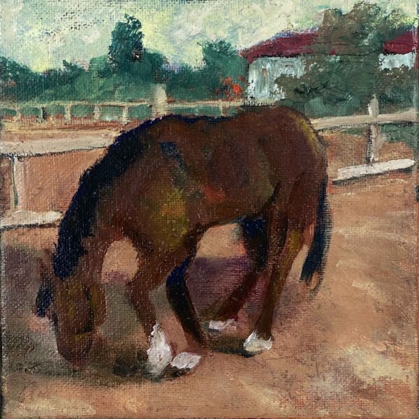 Horse and Paddock - Patrick Cosgrove
