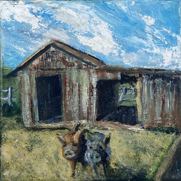 Morning Pigs - Patrick Cosgrove