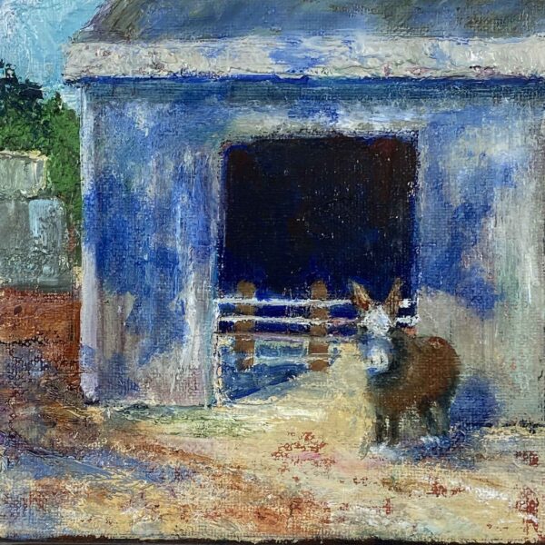 Rescue Donkey - Patrick Cosgrove