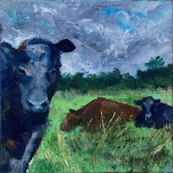 Three Cows in Pasture - Patrick Cosgrove