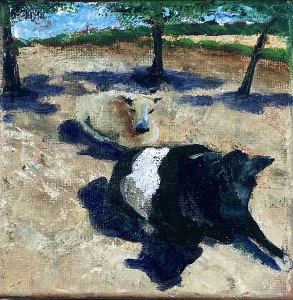Two Cows in the Sun - Patrick Cosgrove