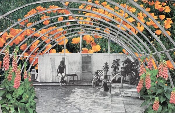 Swimming Beneath the Flowers - Natalie Uhlenburg
