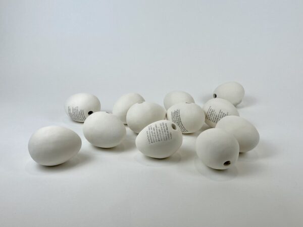The Price of Eggs - Jenny Rosen
