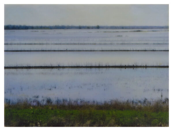 Yolo Basin 9 Vernal Equinox - John Angell