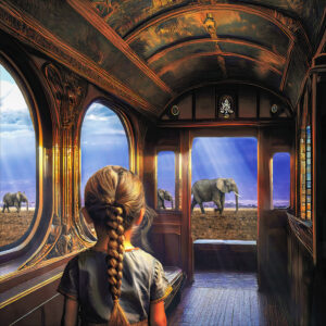 View From the Caboose - Nancy Chadwick