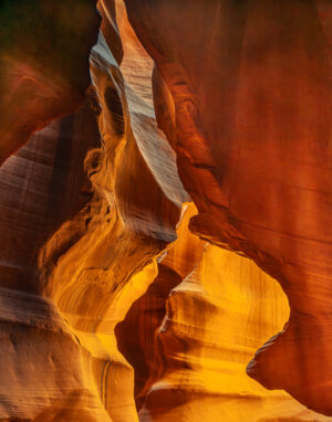 Colors of the Canyon - Joey Johnson