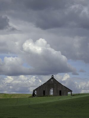 Corduroy Barn - Tom Laffey