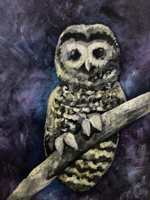 Northern Snowy Owl - Haley Morgan