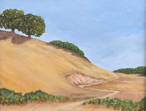 Near Coyote Pond - Jon Murray