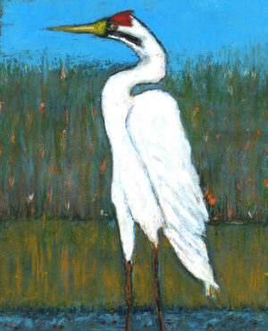 The Sandhill Crane - Minoo Safai-Amini