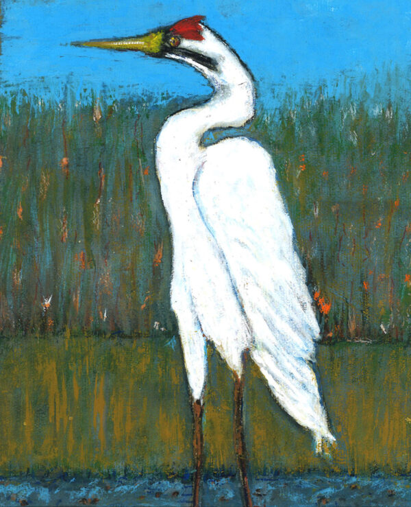 The Sandhill Crane - Minoo Safai-Amini