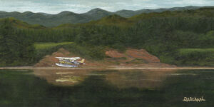 Seaplane Reflections - Diane Schaal