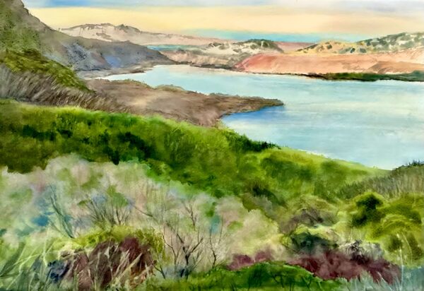 Lagoon at Point Reyes - Allison Spreadborough