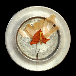 Anthurium on Metal - Judith Yemma