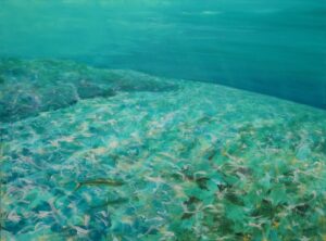 Swimming Toward the Deep - Alice Krasinski