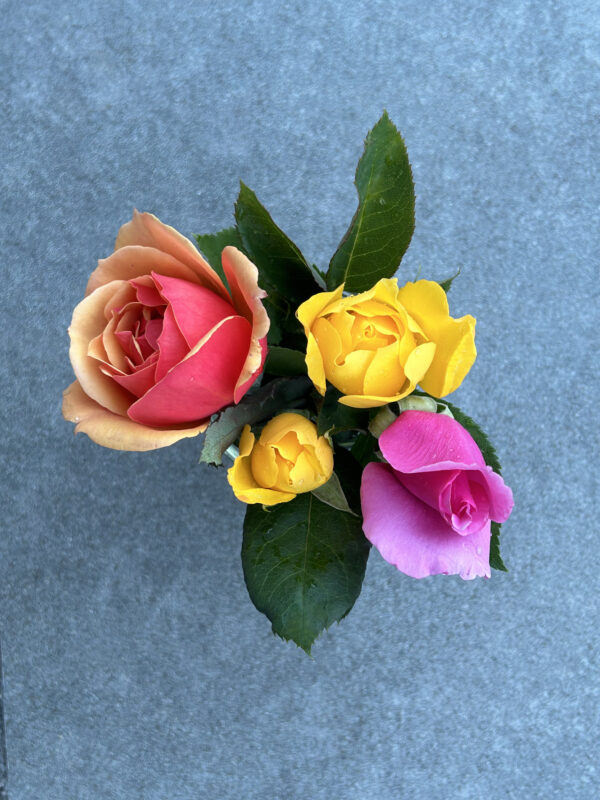 Today's Bouquet June 8, 2024