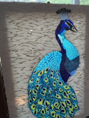 The Peacock  - Celeste Budd