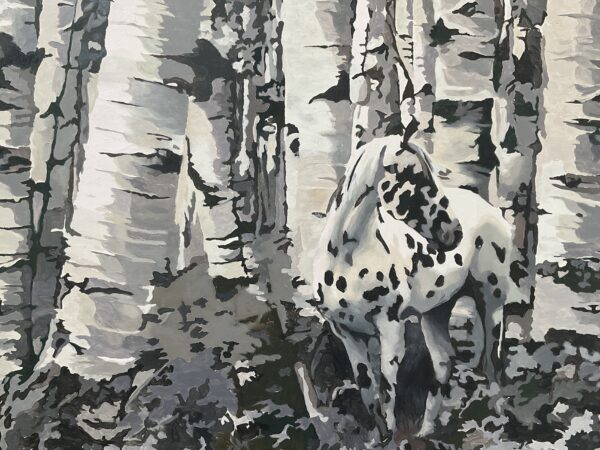 Appaloosa Among Aspens - Barbara Davies