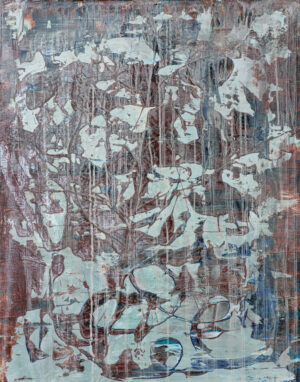 A Veiled Vision - Nicole Hunter