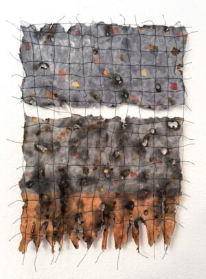 Fire and Water 1 - Wildfires - Jane Ingram Allen