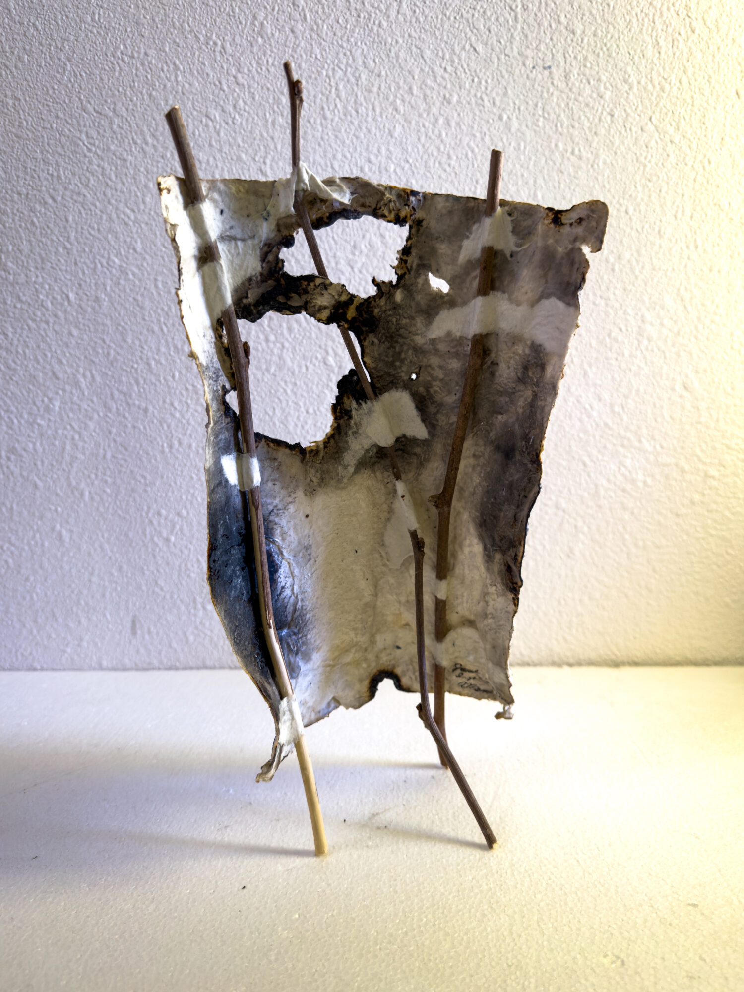 Twig Sculpture 1 - Jane Ingram Allen