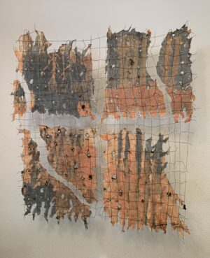 Fire and Water 2 - Forest Fires - Jane Ingram Allen
