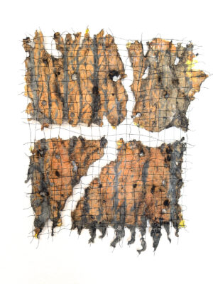 Fire and Water 3 - Burned Trees - Jane Ingram Allen