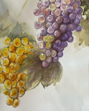 Harvest - Mary Pivetti