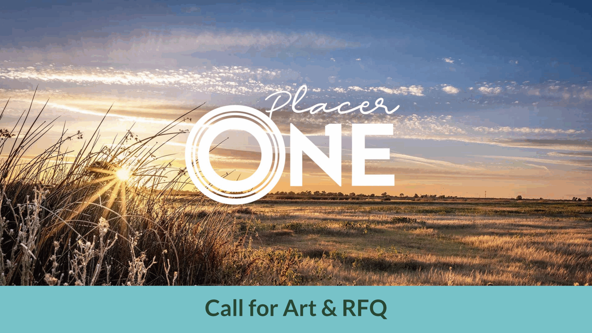 Placer One-Call for Art and RFQ Website Image 2025