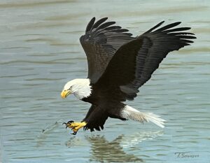 Gotcha - Tom Sorensen