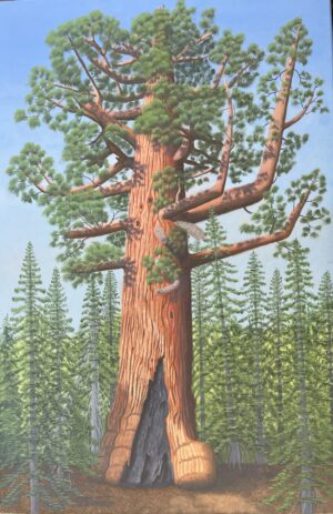 The "Grizzly Giant" Mariposa Grove, Yosemite - Tom Sorensen