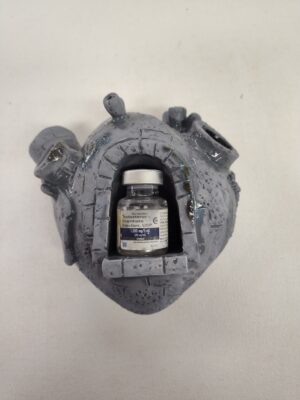 #12 Foundational T4T - Ash Asaro