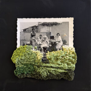 20 Little House 53 - Diane Bronstein